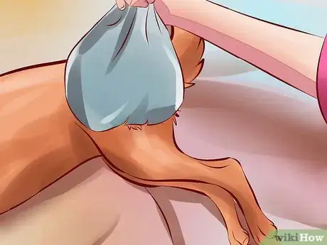 Image intitulée Treat Arthritis in Dogs Step 12