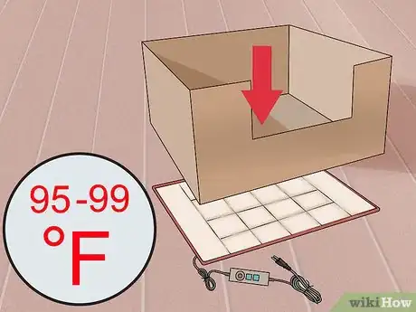 Image intitulée Save a Fading Newborn Puppy Step 7