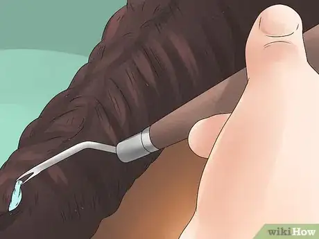 Image intitulée Braid a Horse's Mane Step 19