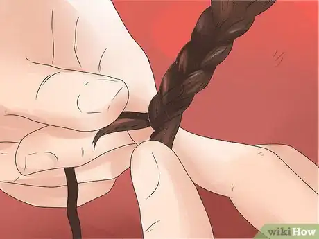 Image intitulée Braid a Horse's Mane Step 11