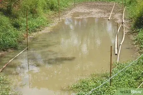 Image intitulée Care for Cattle Step 2