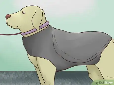 Image intitulée Keep a Dog Calm During Fireworks Step 7