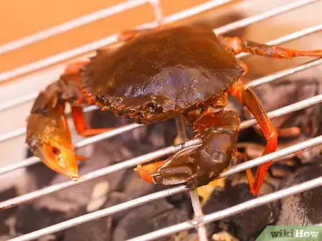 Image intitulée Prepare Crabs Step 17