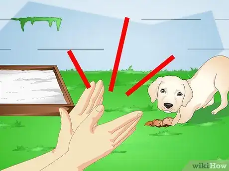 Image intitulée Make a Puppy Stop Digging Step 9