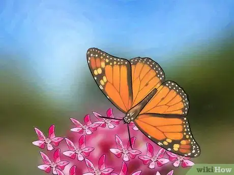 Image intitulée Catch Butterflies Step 11
