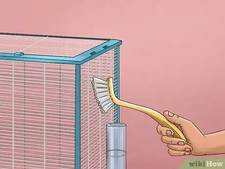 Image intitulée Care for a Ferret Step 4