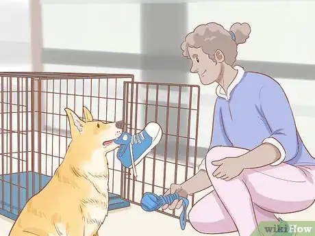 Image intitulée Crate Train an Older Dog Step 11
