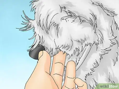 Image intitulée Care for a Dog with a Torn ACL Step 5