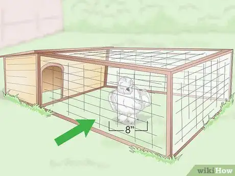 Image intitulée Care For Silkie Chickens Step 1