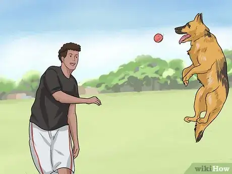 Image intitulée Keep Your Dog from Being Bored Step 6