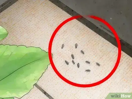 Image intitulée Catch Butterflies Step 14