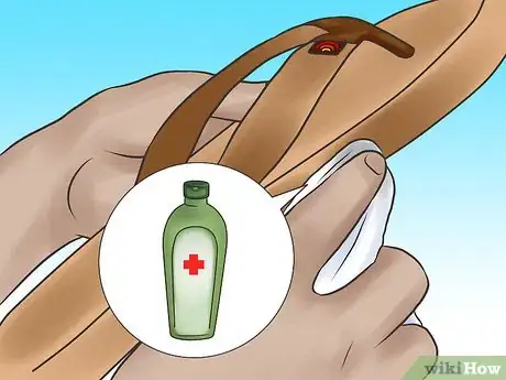 Image intitulée Clean Rainbow Sandals Step 5