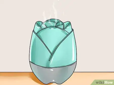 Image intitulée Get Rid of Sinus Congestion Step 5