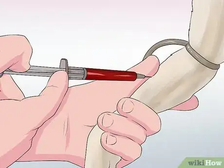 Image intitulée Save a Fading Newborn Puppy Step 4