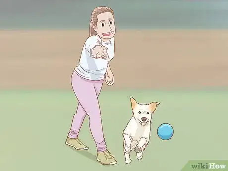 Image intitulée Stop a Puppy from Barking Step 9