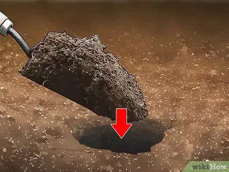 Image intitulée Get Rid of Quack Grass Step 8