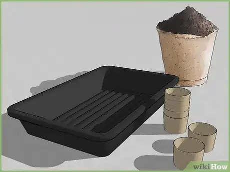 Image intitulée Plant a Seed Step 3