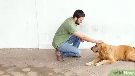 Image intitulée Train a Dog to Stay Step 12