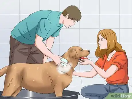 Image intitulée Bathe a Dog and Keep It Calm Step 4