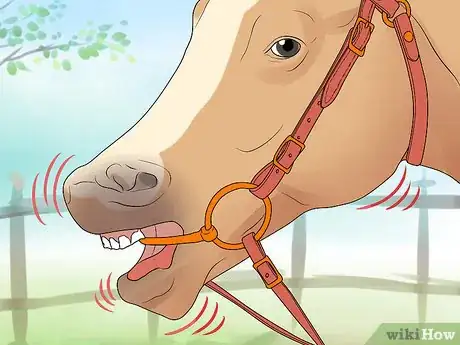Image intitulée Bridle a Horse Step 25