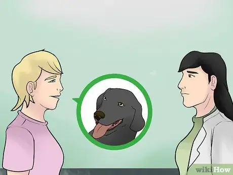 Image intitulée Keep a Dog Calm During Fireworks Step 17