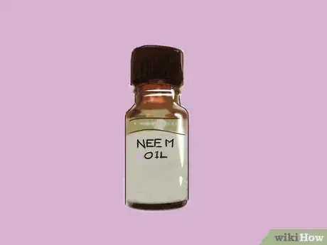 Image intitulée Get Rid of Chicken Mites Step 12