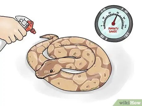 Image intitulée Care for Ball Pythons Step 5