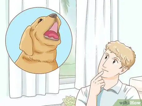 Image intitulée Stop a Puppy from Barking Step 6