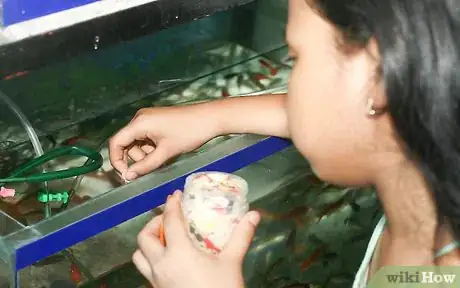 Image intitulée Take Care of Your Fish Step 6