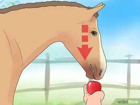 Image intitulée Bridle a Horse Step 17