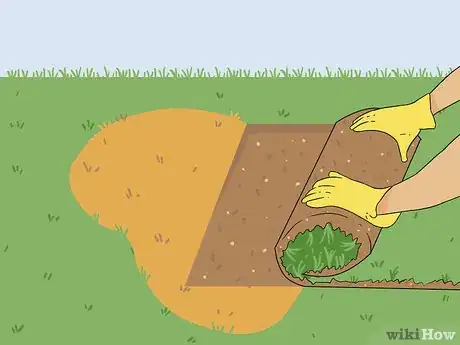 Image intitulée Bring Back Dead Grass Step 18
