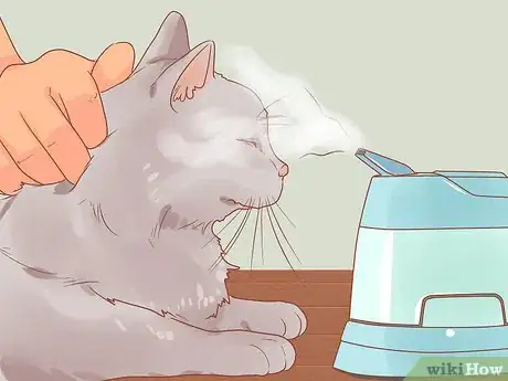 Image intitulée Treat a Cat with a Stuffy Nose Step 6