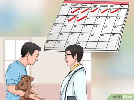 Image intitulée Cure Mange in Dogs Step 11