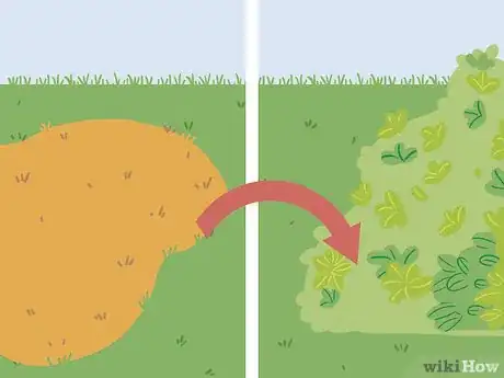 Image intitulée Bring Back Dead Grass Step 19