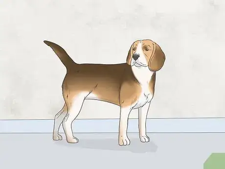 Image intitulée Get Your Small Dog to Stop Biting and Barking at You Step 1