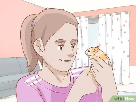 Image intitulée Care for Syrian Hamsters Step 17