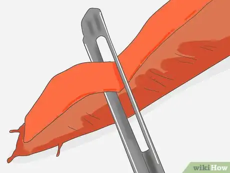 Image intitulée Select Carrots Step 11