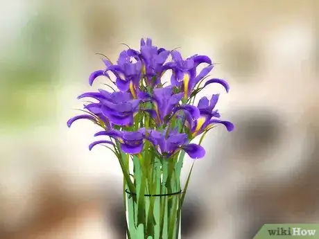Image intitulée Make a Room Smell Fresh Step 9