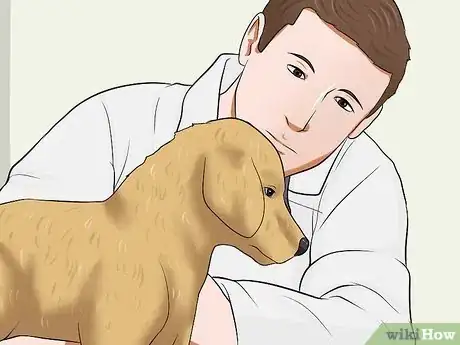 Image intitulée Diagnose Heartworms in Dogs Step 6