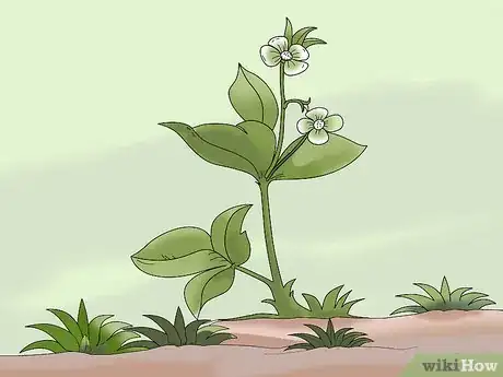 Image intitulée Hoe Weeds Step 1