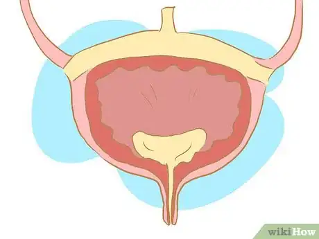 Image intitulée Manage Urinary Incontinence in Children Step 1