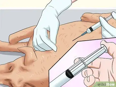 Image intitulée Diagnose Heartworms in Dogs Step 9