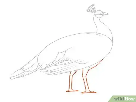 Image intitulée Draw an Exotic Peacock Step 15
