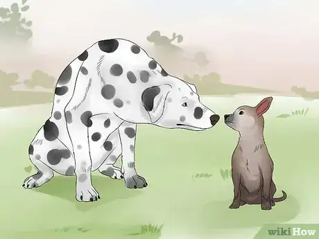 Image intitulée Approach a Shy or Fearful Dog Step 15
