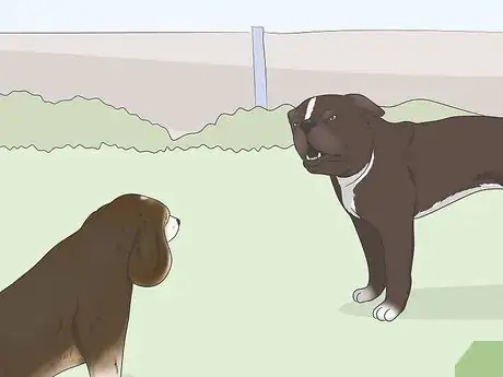 Image intitulée Get Your Small Dog to Stop Biting and Barking at You Step 3
