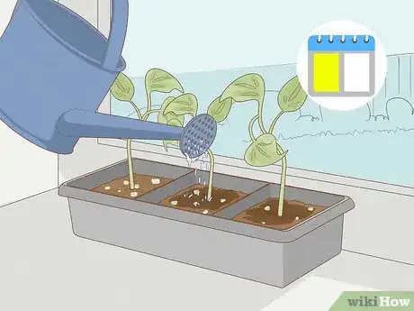 Image intitulée Grow Philodendron from Cuttings Step 15