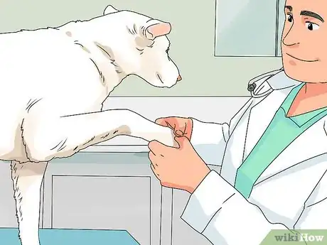 Image intitulée Determine if Your Dog Is Obese Step 8