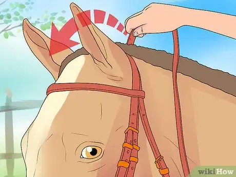 Image intitulée Bridle a Horse Step 12
