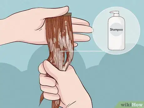 Image intitulée Wash Hair Extensions Step 5