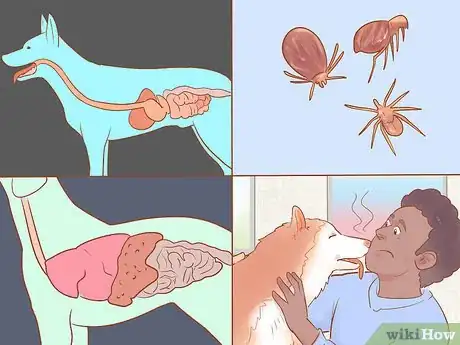 Image intitulée Keep Your Dog's Breath Fresh Step 11